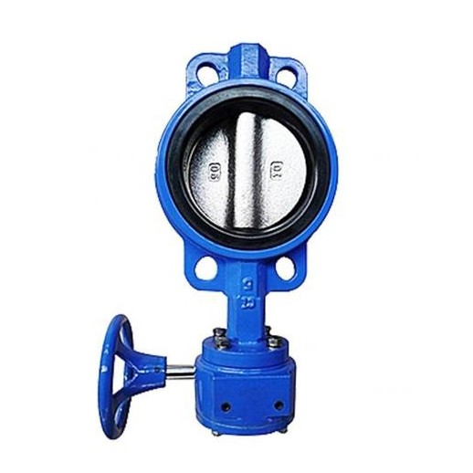 คุณรู้เกี่ยวกับ Wafer Butterfly Valve พร้อม Worm Gear มากแค่ไหน?